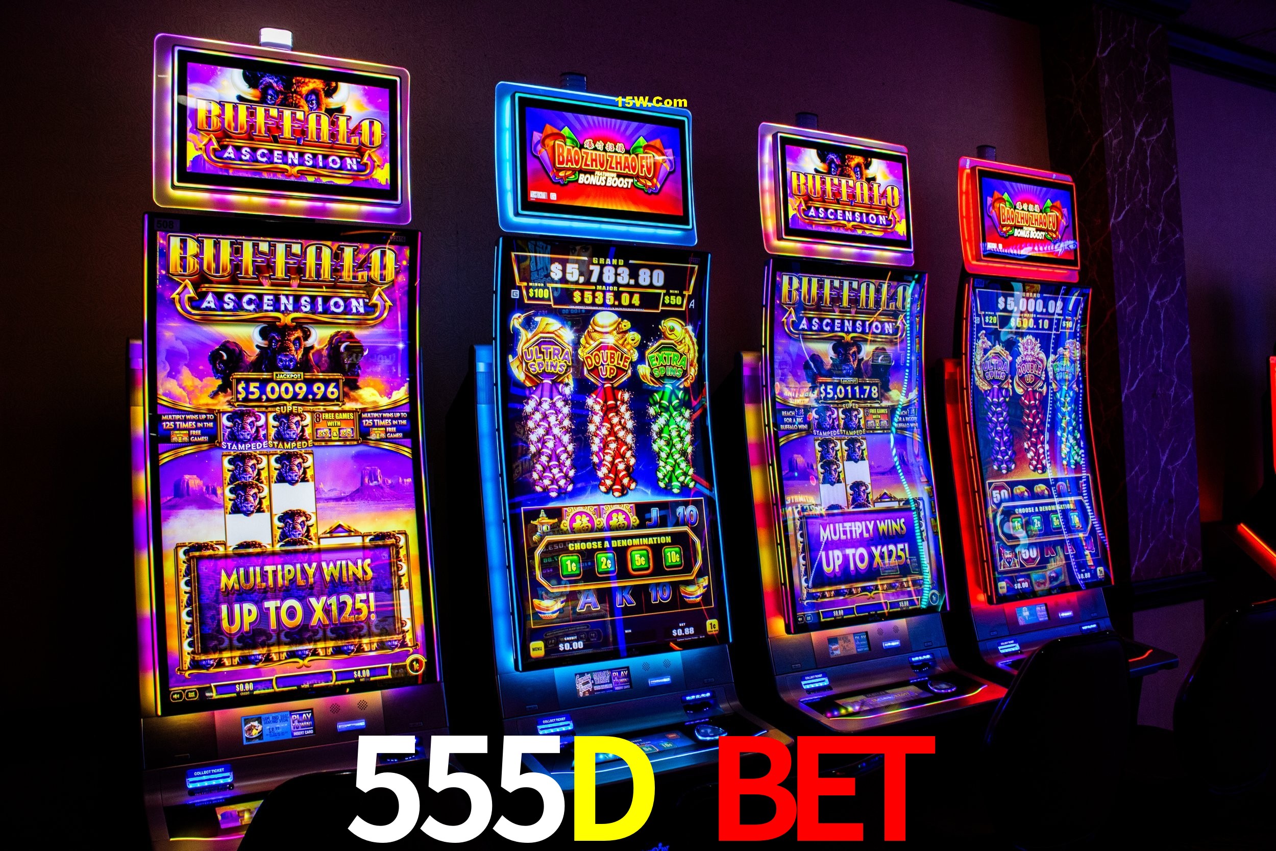 Seasonal Promotions 555D Bet